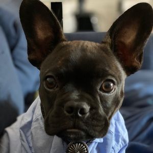 Meet your Posher, Carolyn